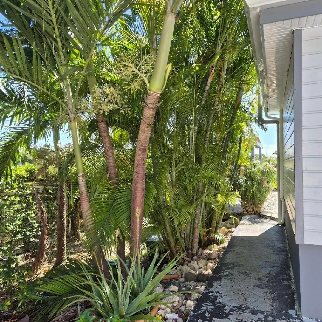 Villa Cosy ! New ! Saint-Francois  0*, Saint-Francois (Grande-Terre) Guadeloupe